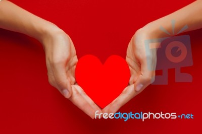 Red Paper Heart In Hands On The Red Background Stock Photo