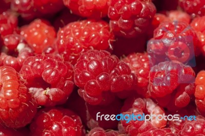 Red Raspberry Fruit Stock Photo