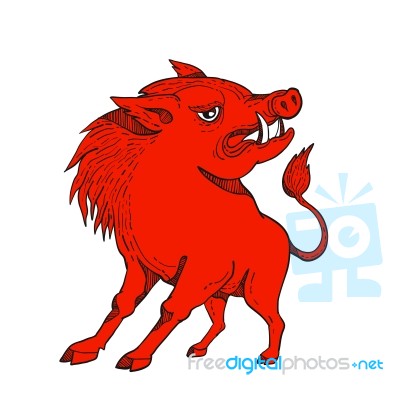 Red Razorback Doodle Art Stock Image