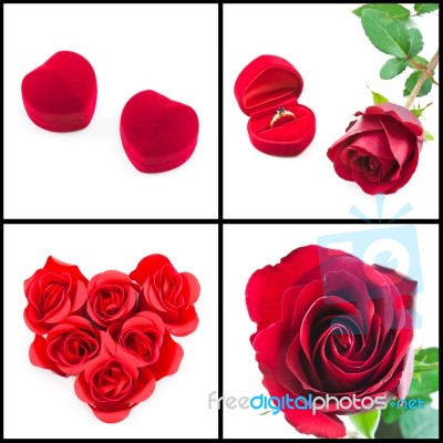 Red Rose Stock Photo