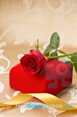 Red Rose And Gift Stock Photo