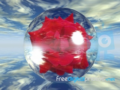 Red Rose In A Bubble Stock Image