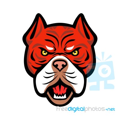 Red Tiger Bulldog Head Front Mascot Stock Image