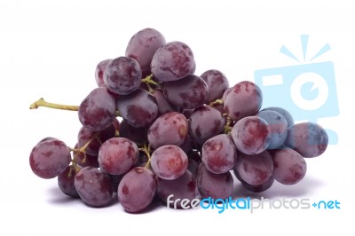 Red Wine Grapes Stock Photo