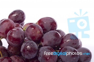Red Wine Grapes Stock Photo