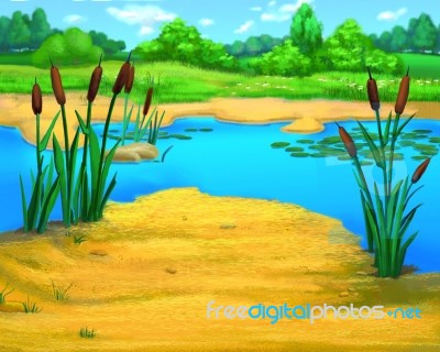 Reeds By The River In A Summer Day Stock Image Reeds By The River In A Summer Day Stock Image