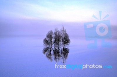 Reflection Stock Photo Reflection Stock Photo