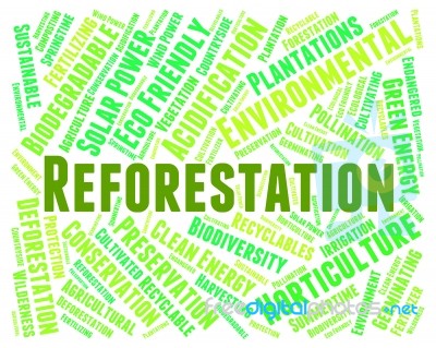 Reforestation Word Means Reforesting Forests And Woodland Stock Image