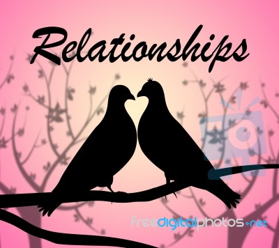 Relationships Doves Shows Find Love And Affection Stock Image