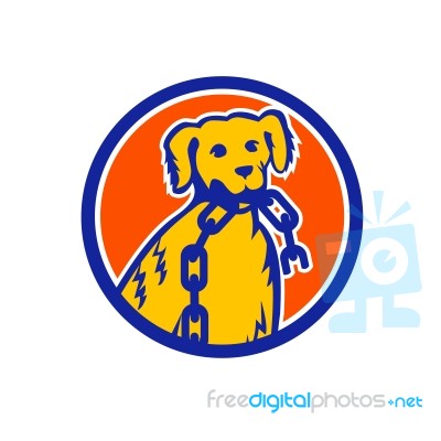 Retriever Dog Biting Broken Chain Mascot Stock Image