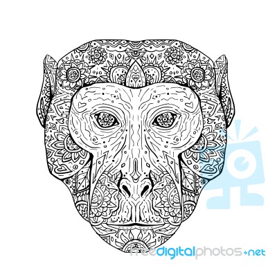 Rhesus Macaque Head Front Mandala Stock Image