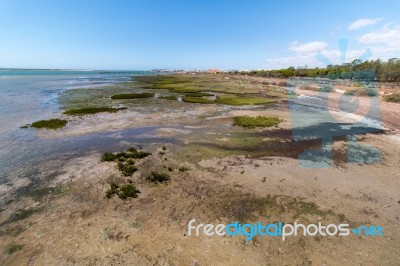 Ria Formosa Marshlands Located In The Algarve, Portugal Stock Photo
