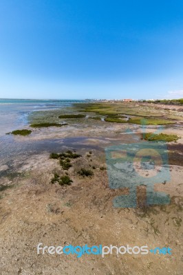 Ria Formosa Marshlands Located In The Algarve, Portugal Stock Photo