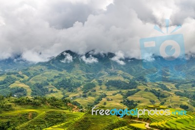 Rice Fields And Mountains In The Clouds Stock Photo