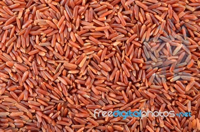 Rice Grain Stock Photo
