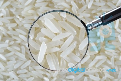 Rice Grain Stock Photo