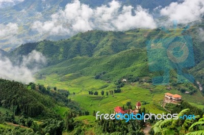 Rice Terraced Stock Photo