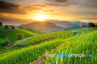 Rice Terraces In Northern Of Thailand Stock Photo