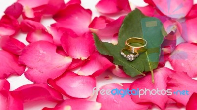 Rings On Rose Petals Stock Photo