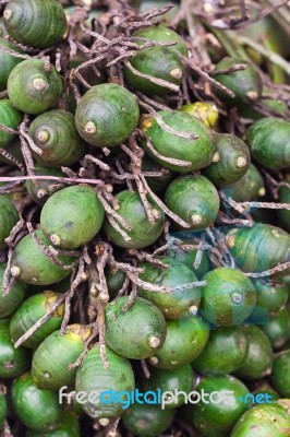 Ripe Areca-nut Stock Photo