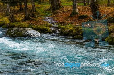 River In A Forest Stock Photo