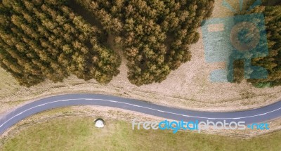 Road And Field In The Tasmanian Countryside Stock Photo