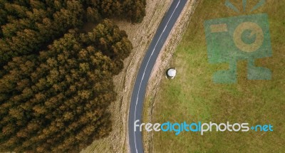 Road And Field In The Tasmanian Countryside Stock Photo