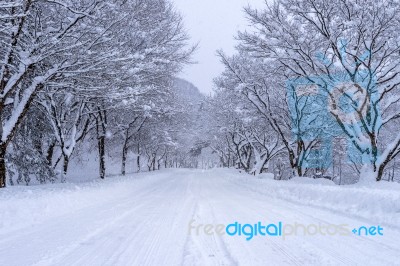 Road And Tree Covered By Snow In Winter Stock Photo