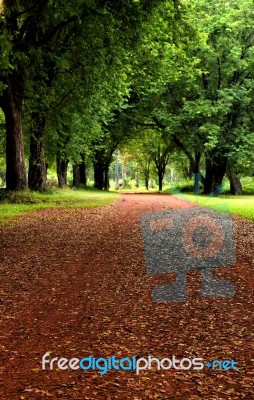 Road In A Garden Stock Photo