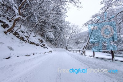 Road In Winter Stock Photo