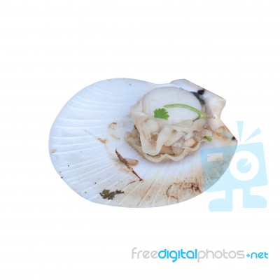 Roasted Scallop Stock Photo