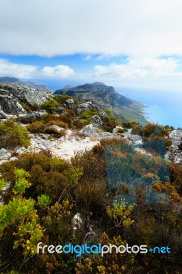 Rock And Landscape On Top Of Table Mountain Stock Photo