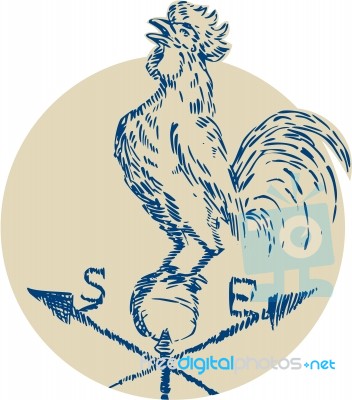 Rooster Cockerel Crowing Weather Vane Etching Stock Image