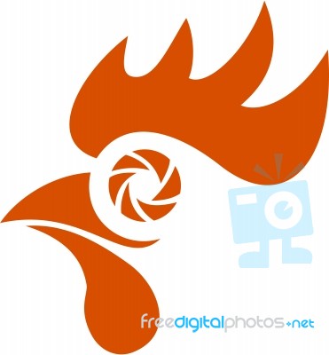 Rooster Eye Shutter Retro Stock Image