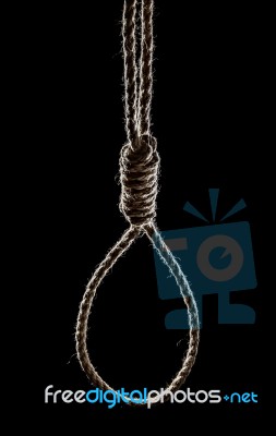 Rope Noose Stock Photo