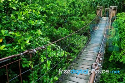 Rope Walkway Through Stock Photo