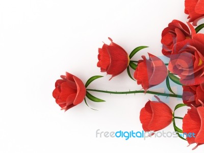 Roses Love Indicates Petal Petals And Adoration Stock Image