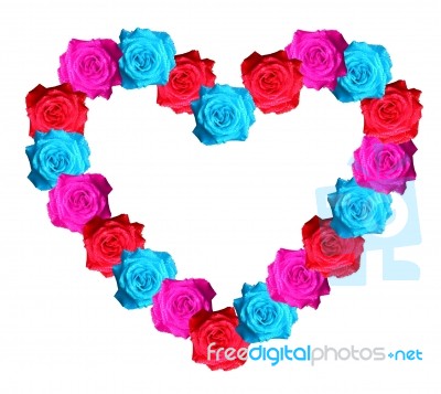 Roses Of Love Stock Image