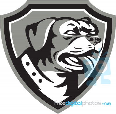 Rottweiler Guard Dog Shield Black And White Stock Image