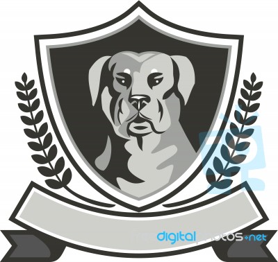 Rottweiler Head Laurel Leaves Crest Black And White Stock Image