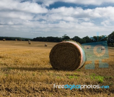 Round Straw Bale,north Yorkshire, Uk Stock Photo