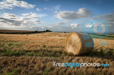 Round Straw Bales - Field Stubble Stock Photo