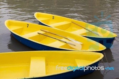 Row Boats Stock Photo