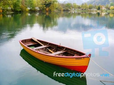 Rowing Boat Ondina Stock Photo