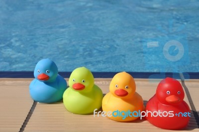 Rubber Ducks Stock Photo