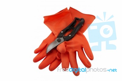 Rubber Glove And Shears Stock Photo