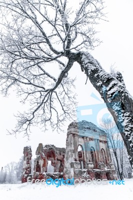 Ruins Of The Old Church In A Winter Day Stock Photo
