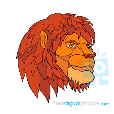 Ruminating Lion Head Cartoon Color Stock Image