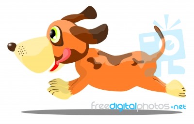 Running Dog Stock Image