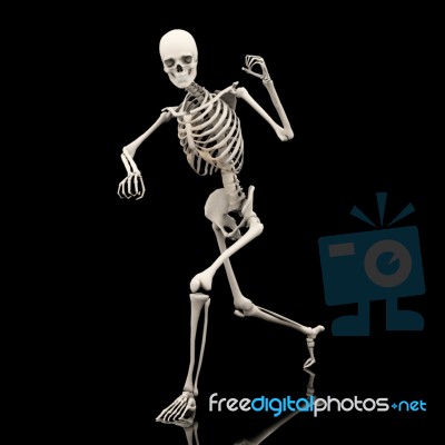 Running Skeleton  Stock Image